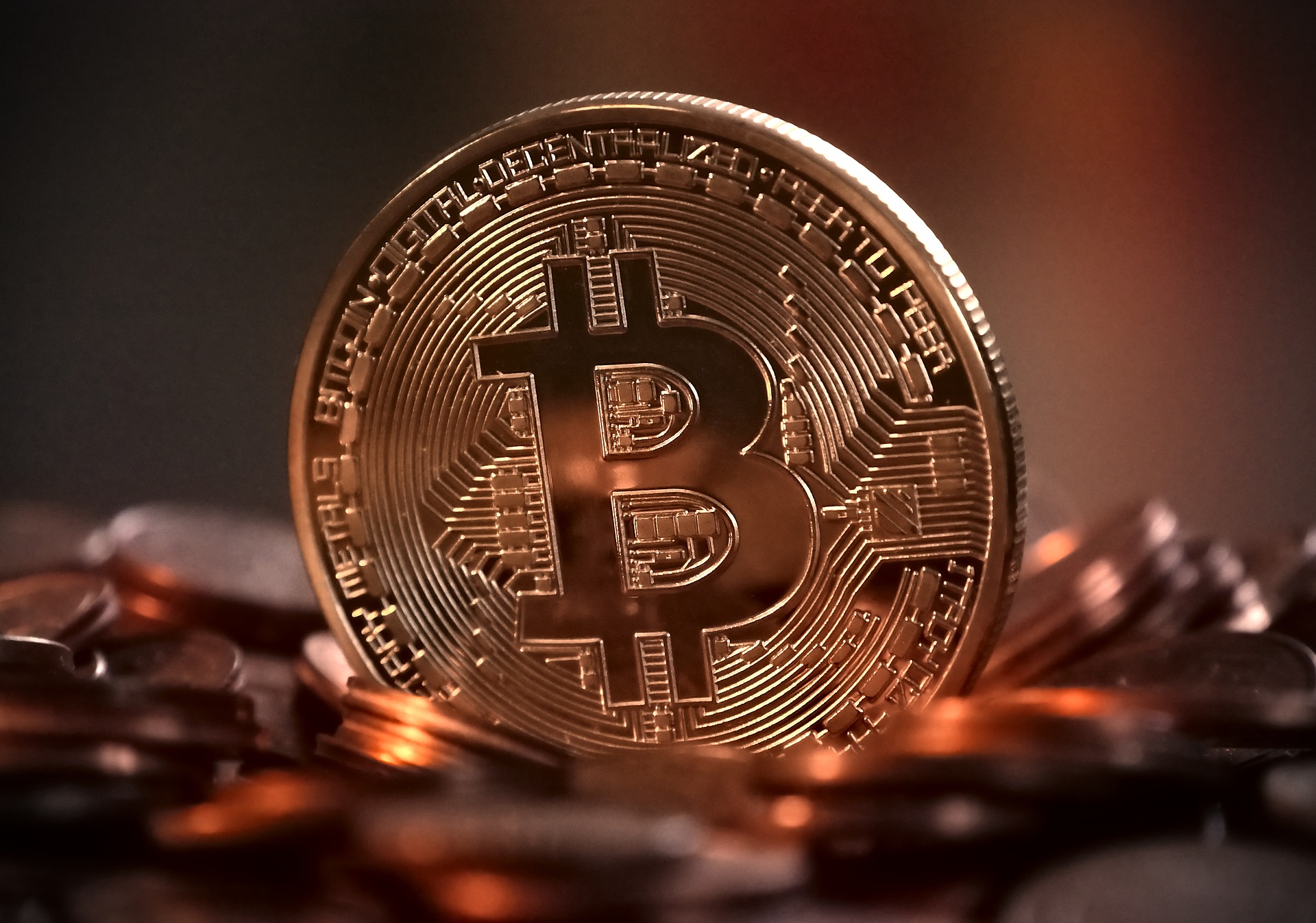 investiere in bitcoin und verdiene täglich
