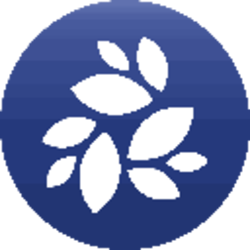 NKN Logo