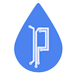 RAIN Logo