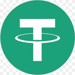 SBUSDT Logo