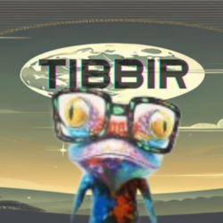 TIBBIR Logo