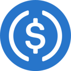 USDC.N Logo