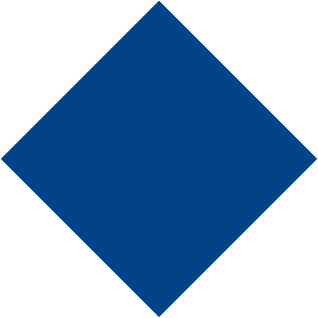 WAVES Logo
