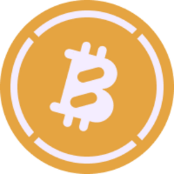 XSOLVBTC Logo